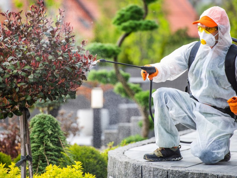 Kadıköy Haşere İlaçlama