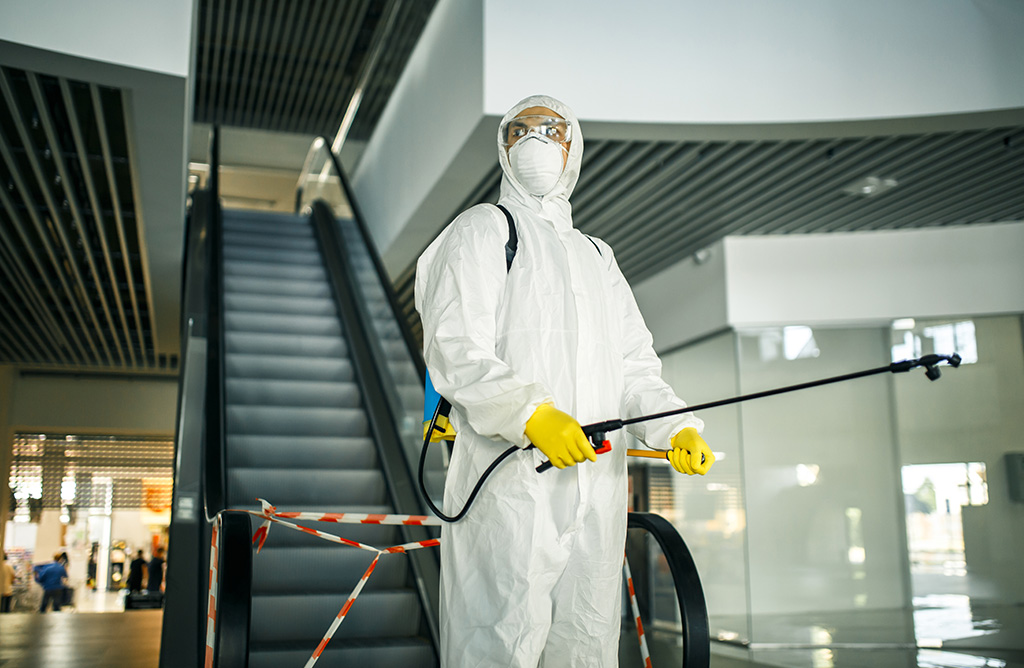 Kadıköy Haşere İlaçlama